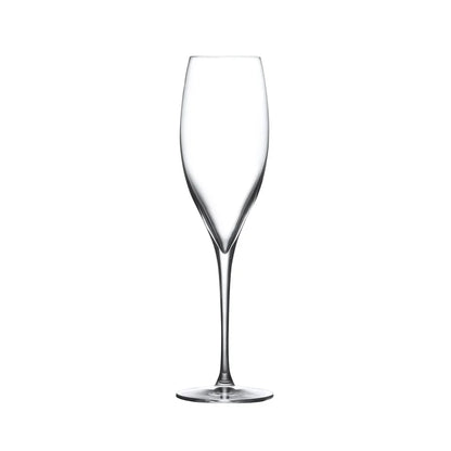 Terroir Set of 6pcs Champagne