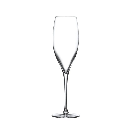 Terroir Set of 6pcs Champagne