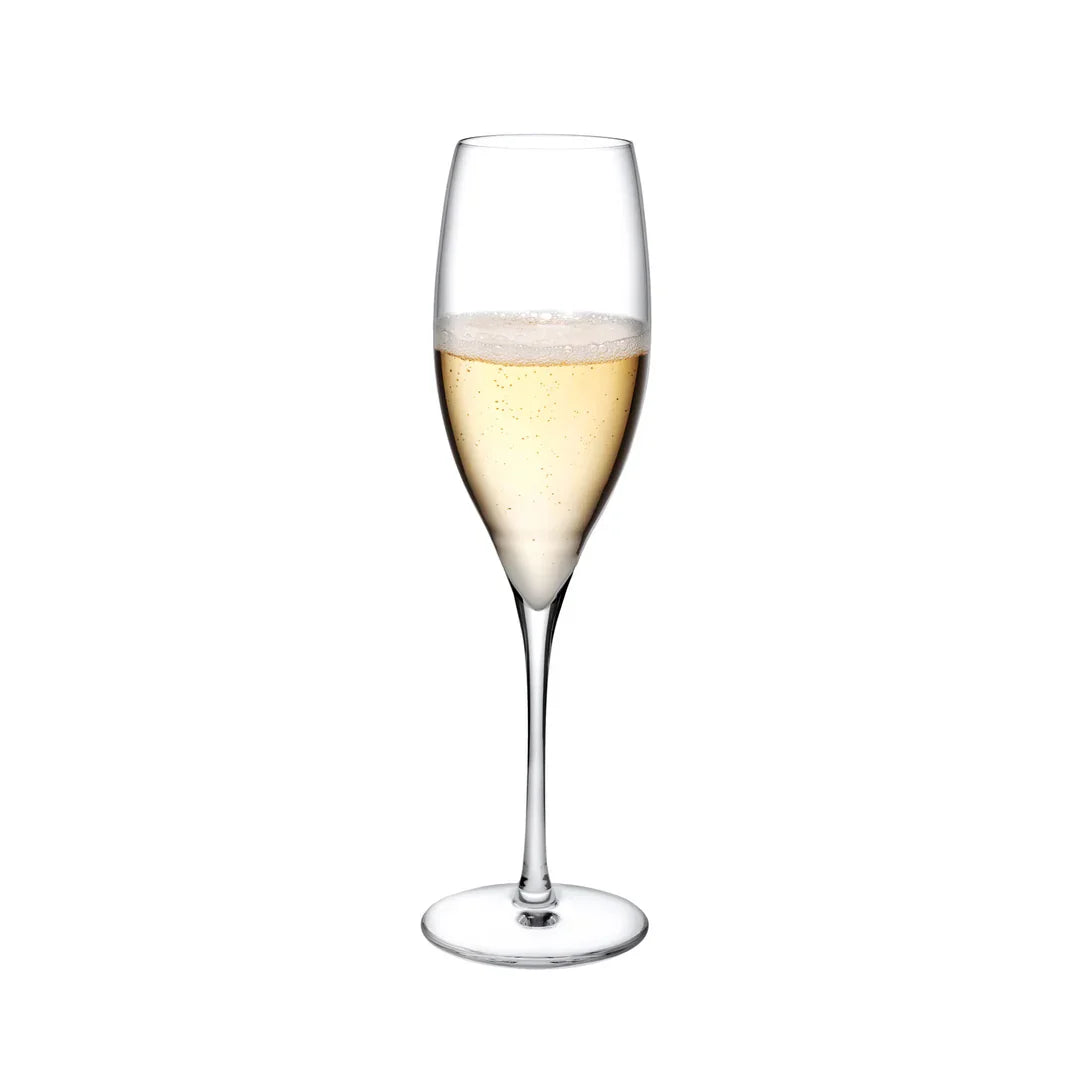 Terroir Set of 6pcs Champagne