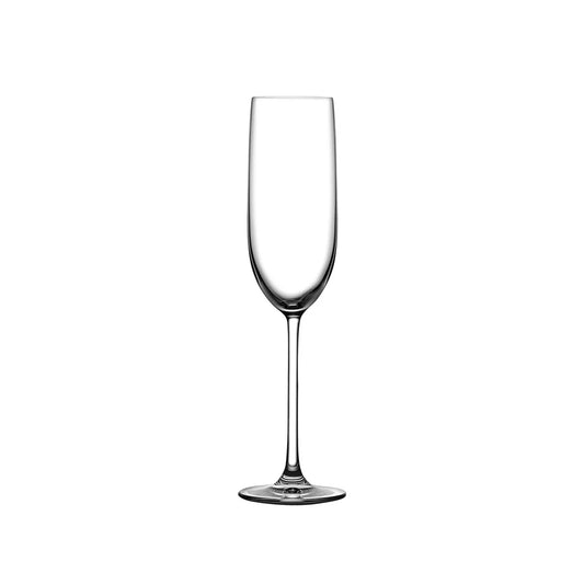 Vintage Set of 6pcs Champagne