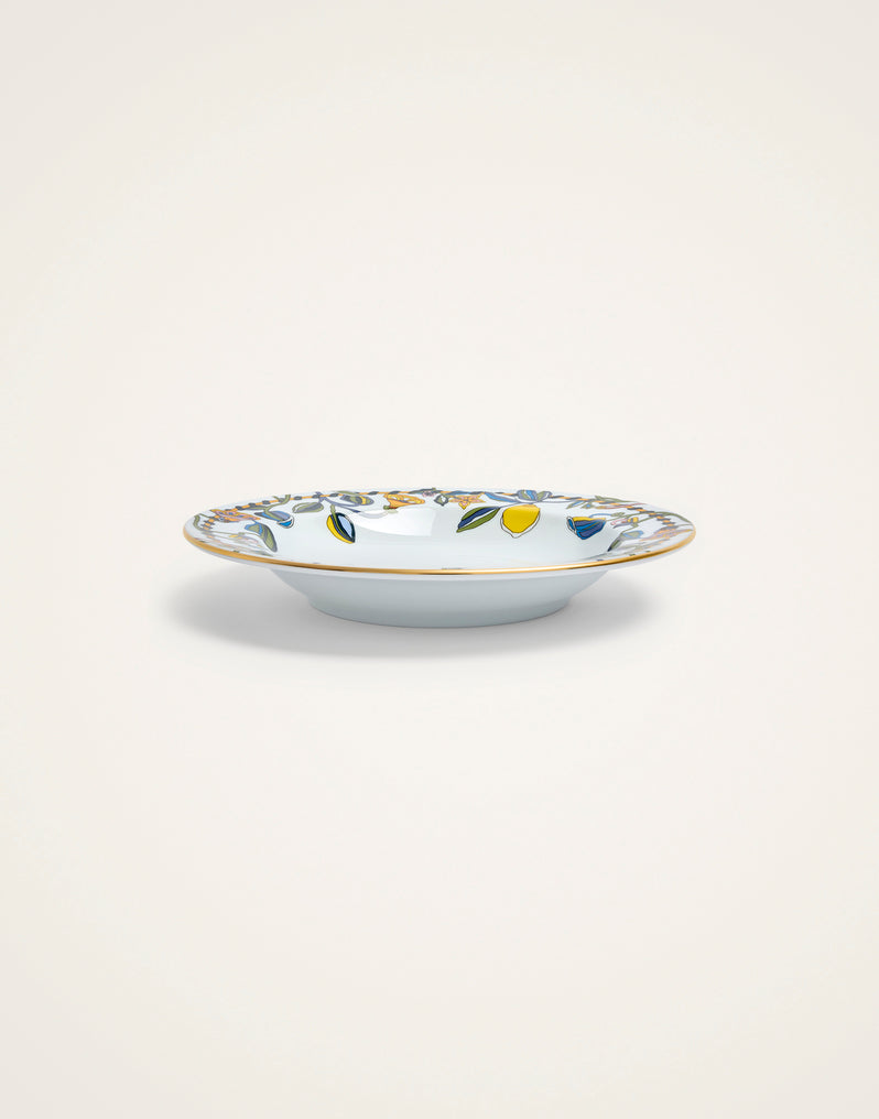 Soup Plates Set Of 2