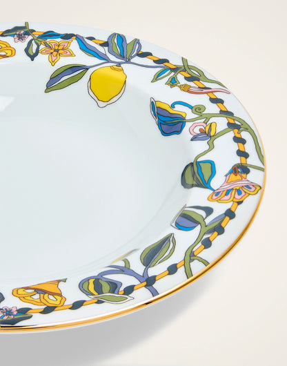 Soup Plates Set Of 2