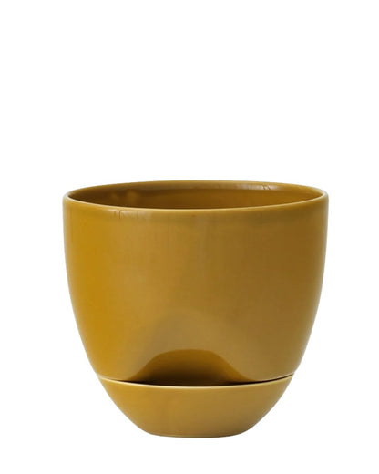 Hydrous Planter Ashen