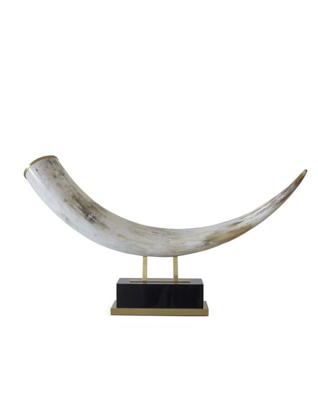 Horn Sculpture - Black Accents