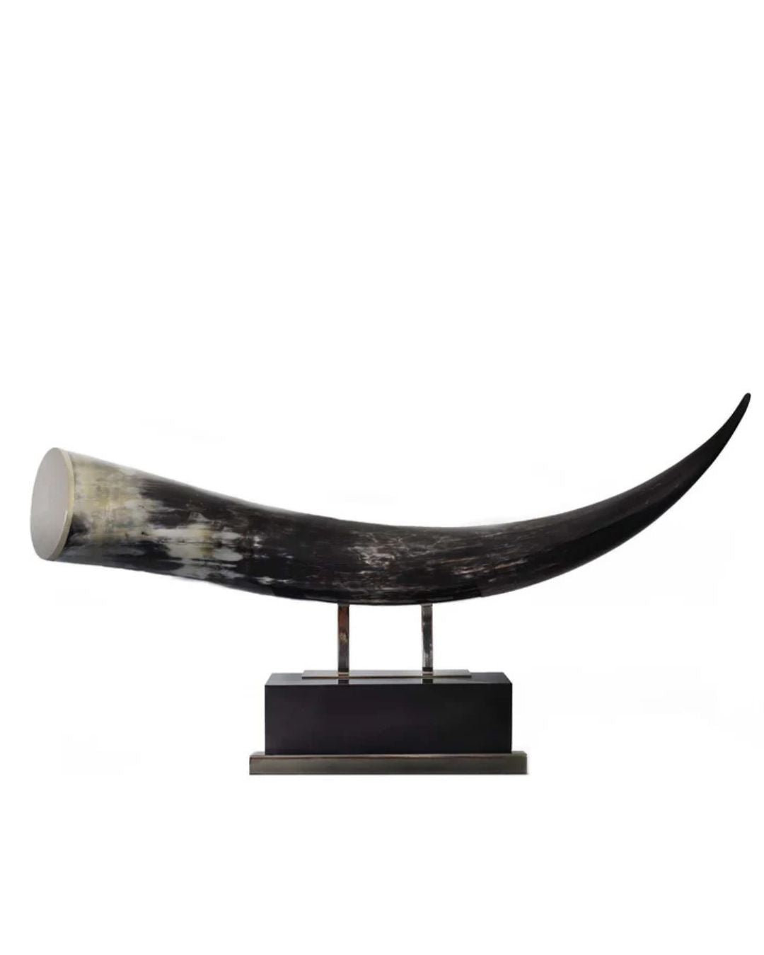 Horn Sculpture