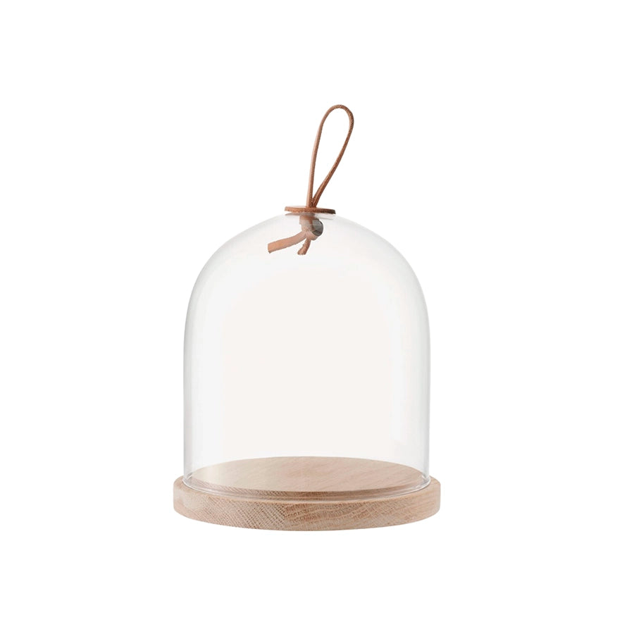 Ivalo Dome & Ash Base Clear