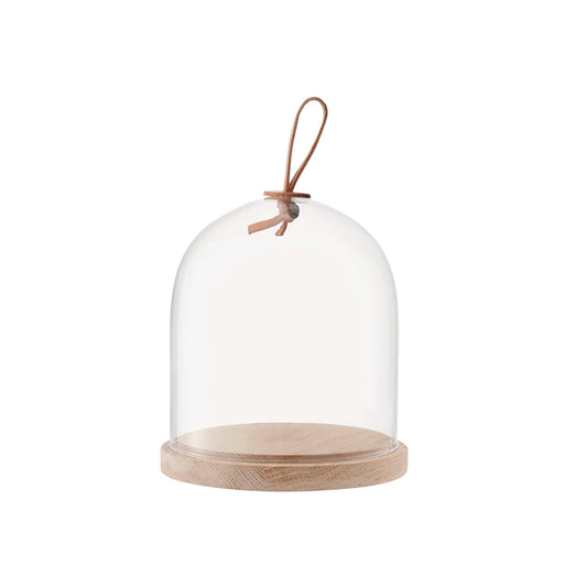 Ivalo Dome & Ash Base Clear