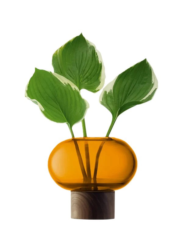 Oblate Vase - Amber