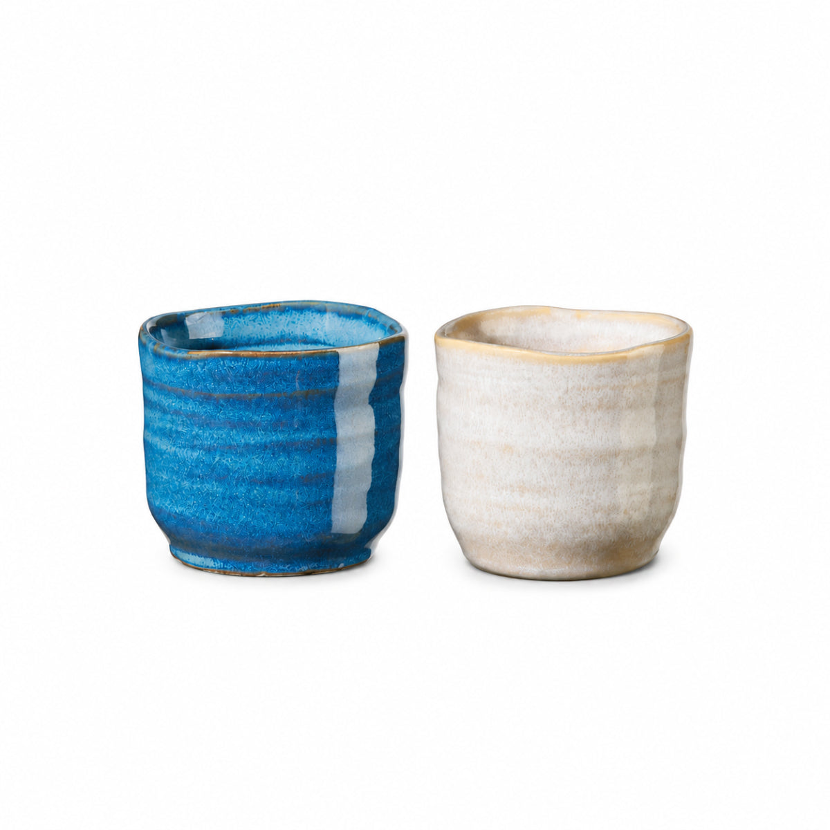 ASA Selection Poké Cup