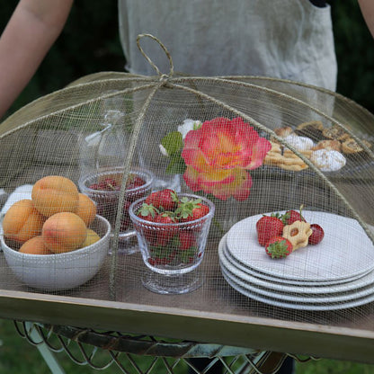 Rectangular Food Cover Medium