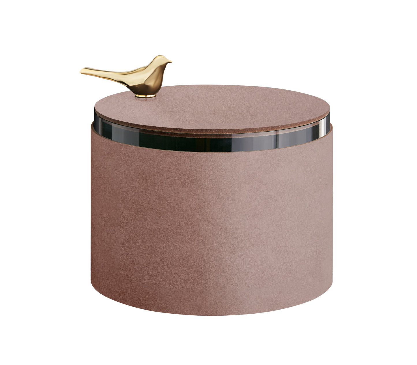 Box Bird