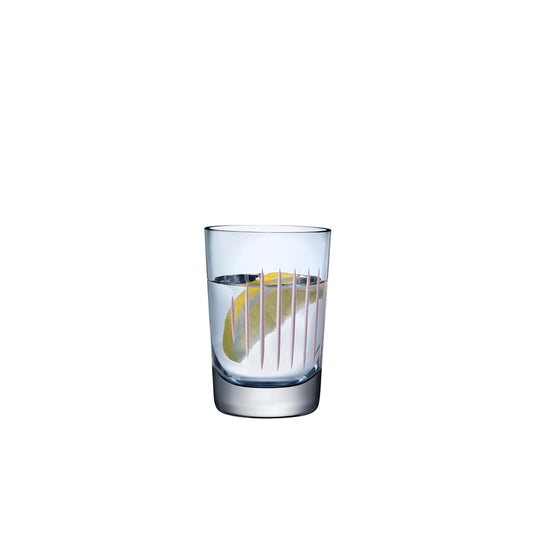 Parrot Set of 2 Water Glasses
