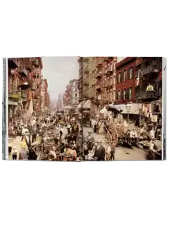 New York Portrait Of A City