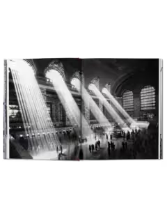 New York Portrait Of A City