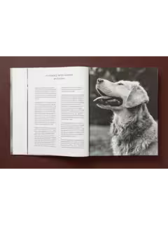 Bruce Weber. The Golden Retriever Photographic Society