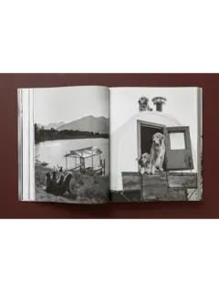 Bruce Weber. The Golden Retriever Photographic Society