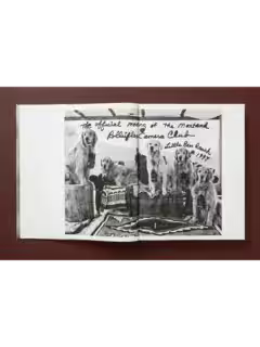 Bruce Weber. The Golden Retriever Photographic Society