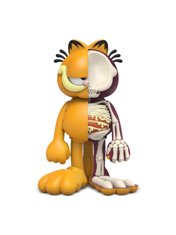 XXRAY Plus Garfield