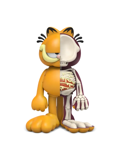 XXRAY Plus Garfield