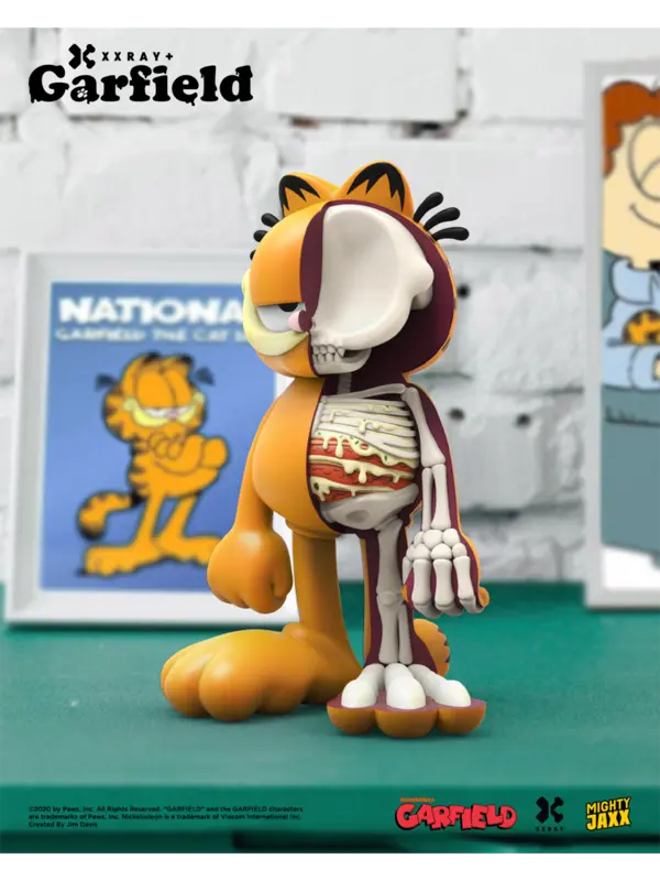 XXRAY Plus Garfield