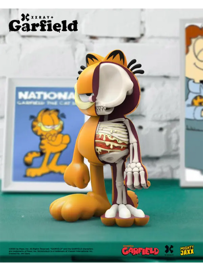 XXRAY Plus Garfield