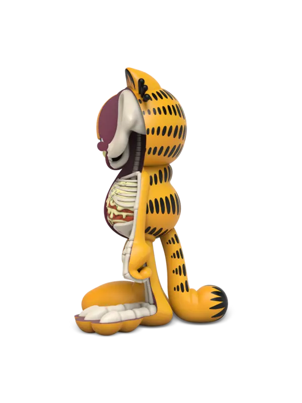 XXRAY Plus Garfield