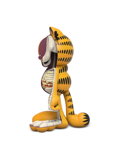 XXRAY Plus Garfield