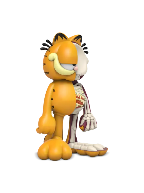 XXRAY Plus Garfield