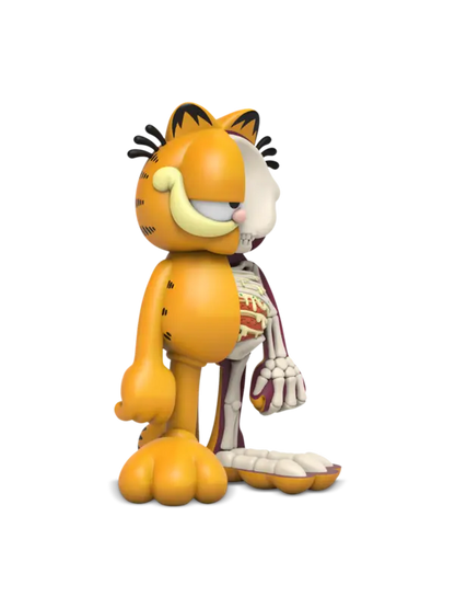 XXRAY Plus Garfield