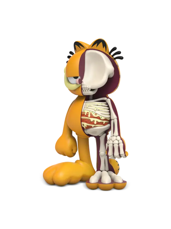 XXRAY Plus Garfield