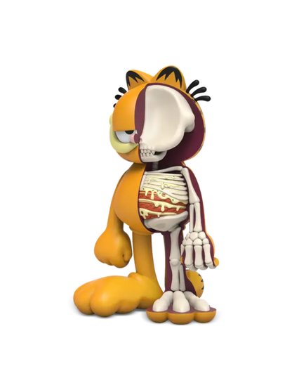 XXRAY Plus Garfield