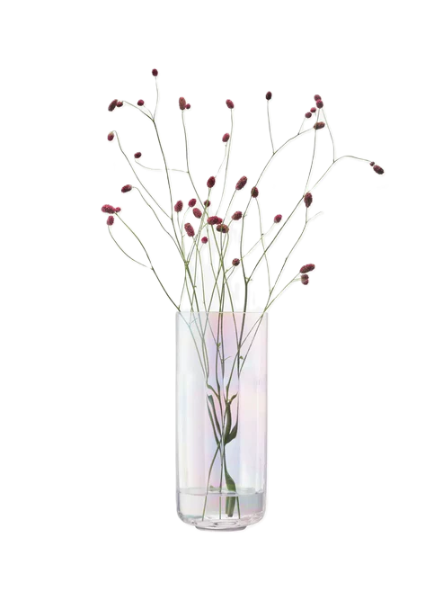 Pearl Lantern/Vase H28.5cm Mother of Pearl