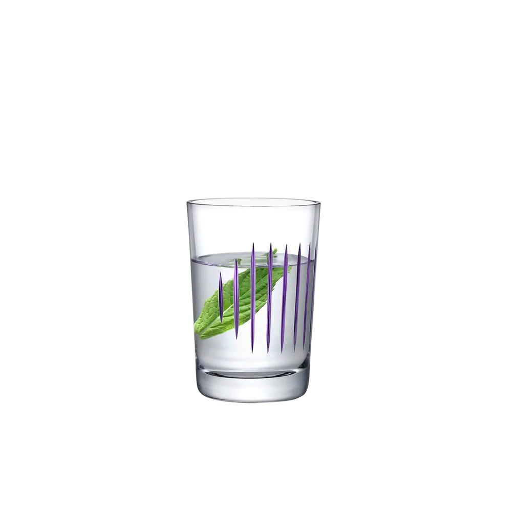 Parrot Set of 2 Water Glasses