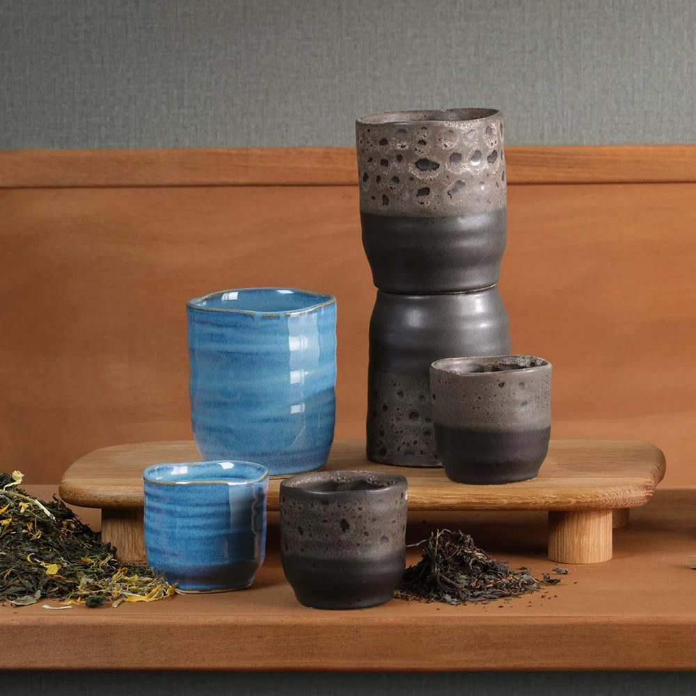 ASA Selection Poké Cup