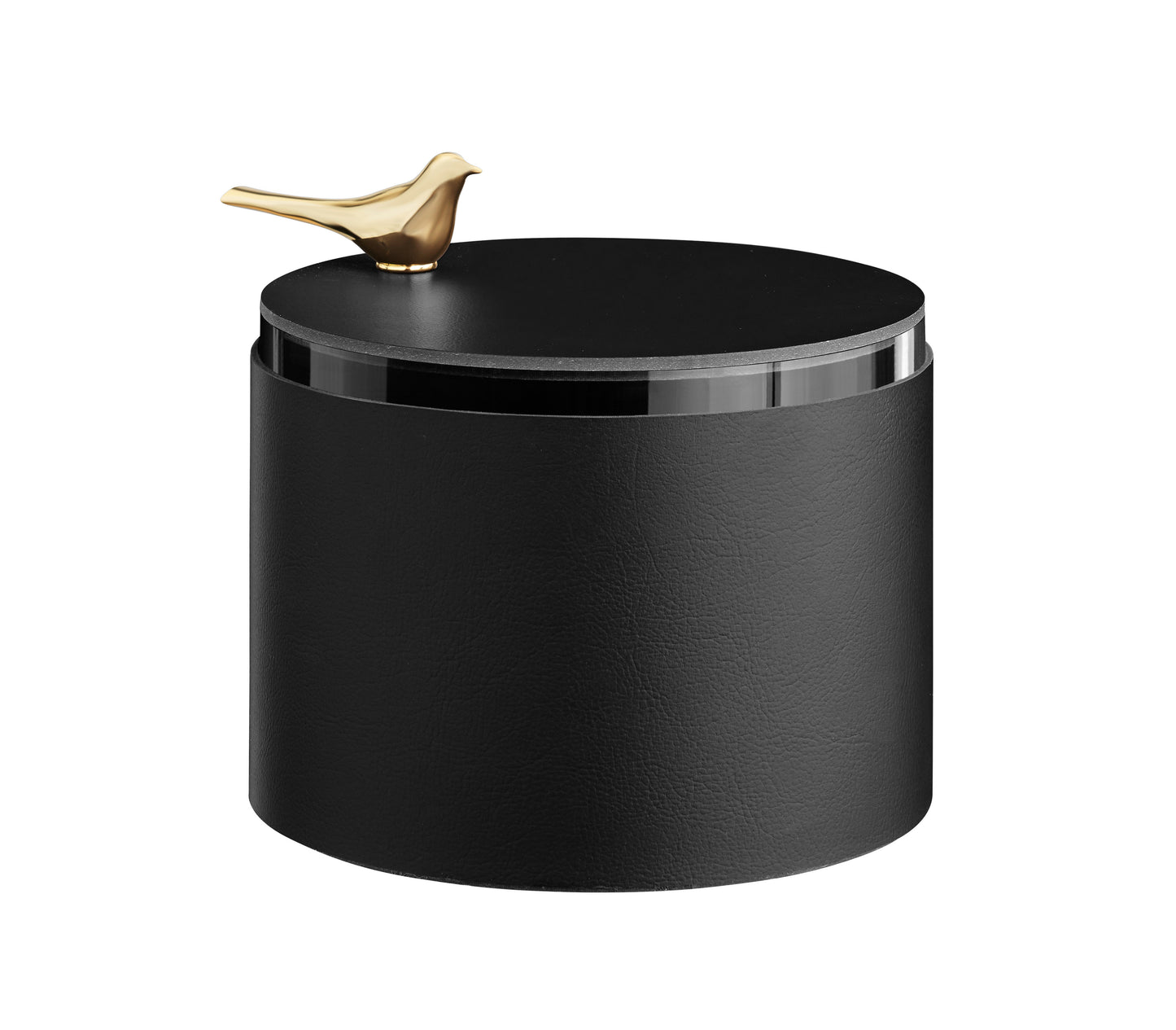 Box Bird