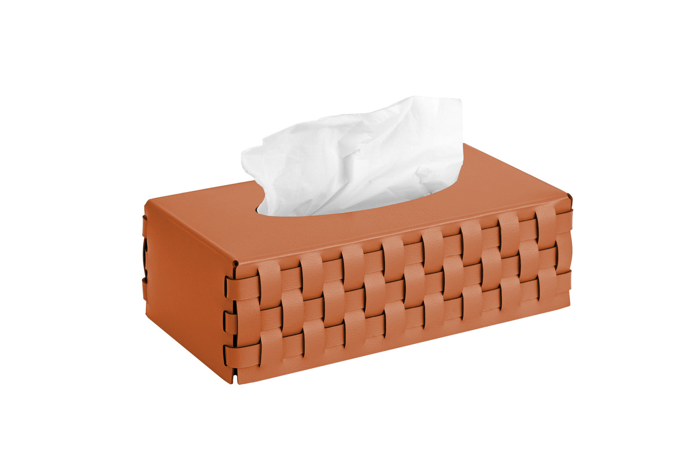 Napkin Holder Bottega