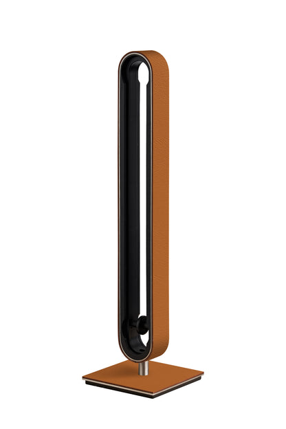 Capsule Holder