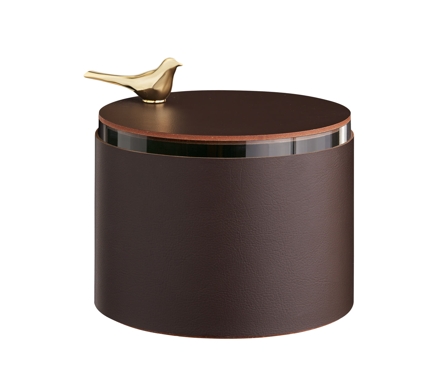 Box Bird