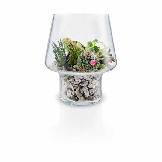 Succulent Glass Vase By Eva Solo