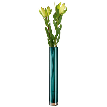 elegant glass vase
decorative glass vase