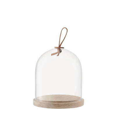 Glass dome, serving ware